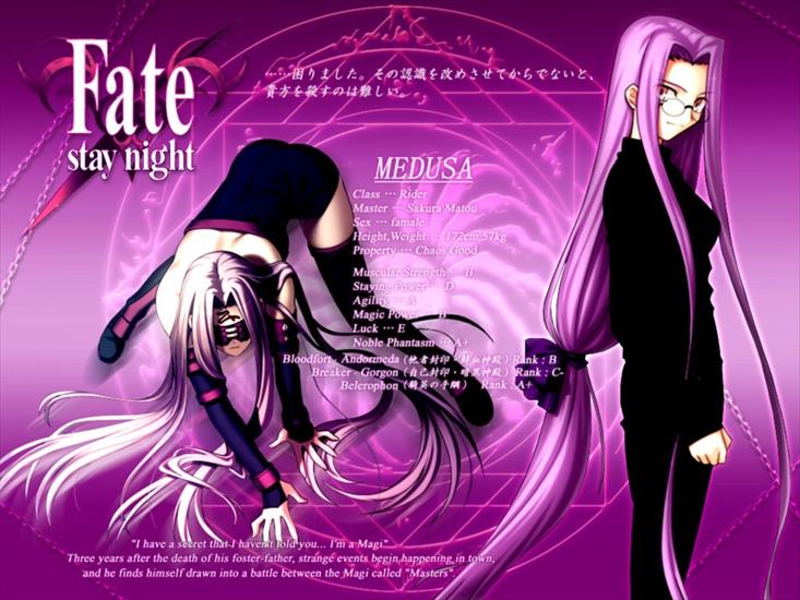 Fate Stay Night - Fate_stay_Night_0955.jpg