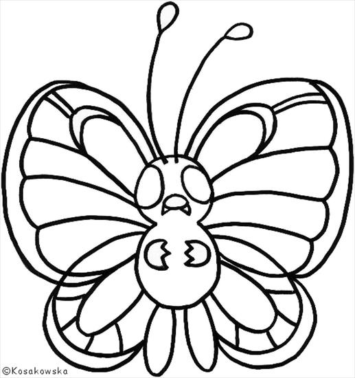 Motyle - 22.gif