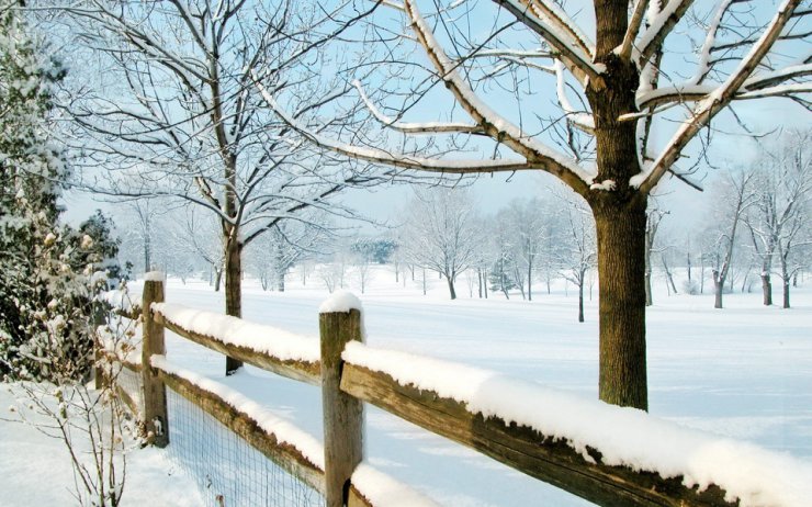 Beautiful Nature - Winter Nature - Part 01 - Beautiful Nature - Winter Nature - Part 01 235.jpg