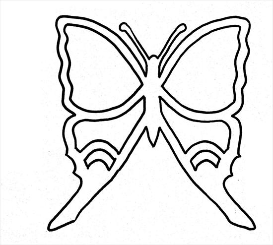 Motyl witraże - motyl4.JPG