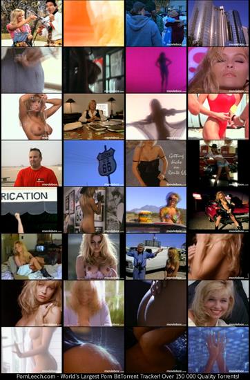 The Ultimate Pamela Anderson XXX DVDRip Split ScenesPornLeech - TheUltimatePamelaAnderson_scene2.jpeg