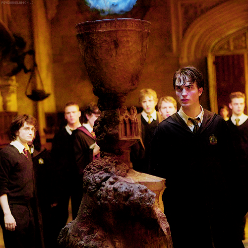 HARRY POTTER - tumblr_lcb9ppsnXh1qc8afao1_500.png