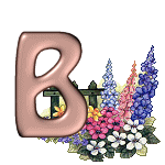 Alfabet z Łubinem - B.gif