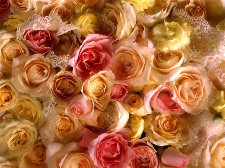 Kocham róże - tapety-2.jpg